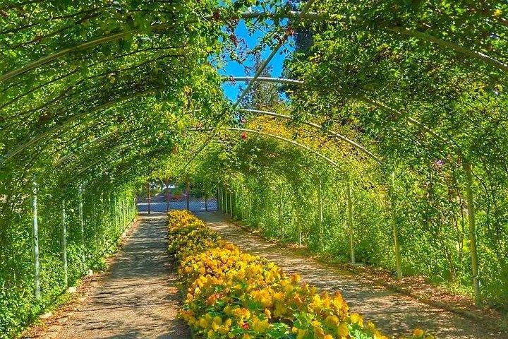 シアトル発：ポイントディファイアンスパーク＆動物園プライベート日帰り旅行