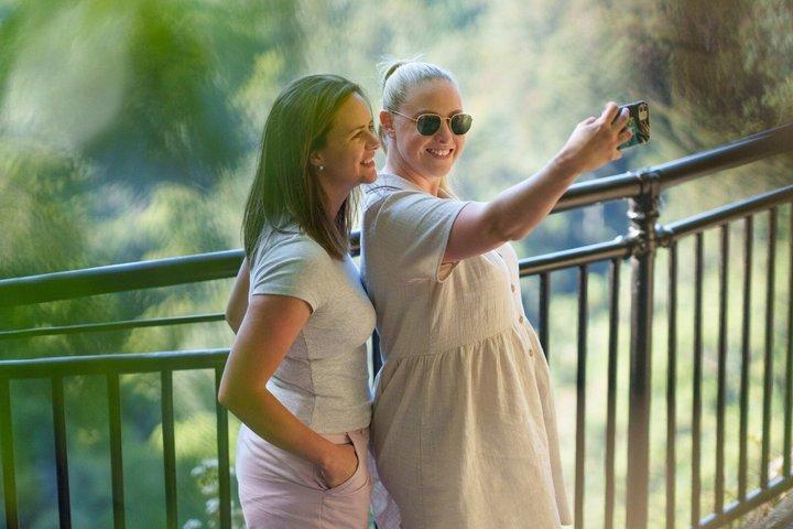 Springbrook Waterfalls & Natural Bridge Tour au départ de Gold Coast