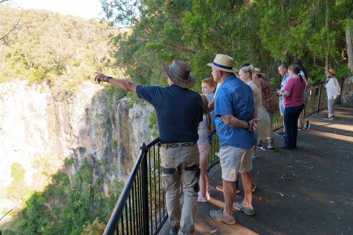 Springbrook Waterfalls & Natural Bridge Tour from Gold Coast