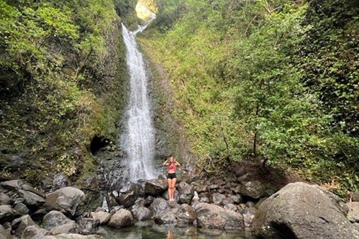 ハワイの滝と竹林ハイキング（送迎付き）