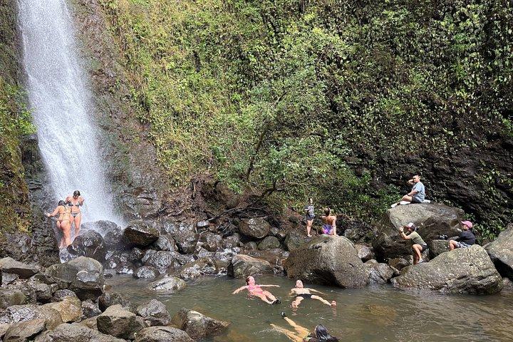 ハワイの滝と竹林ハイキング（送迎付き）