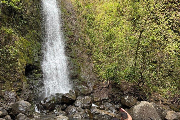 ハワイの滝と竹林ハイキング（送迎付き）
