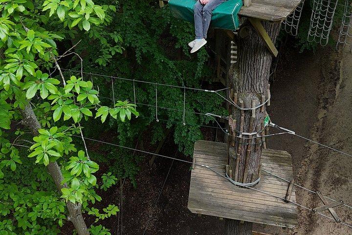 AccroCamp Meudon Forest - Treetop Adventure Course