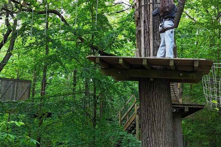 AccroCamp Meudon Forest - Treetop Adventure Course