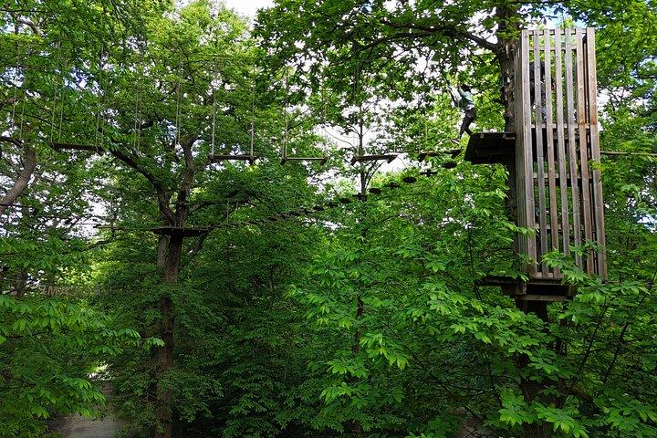 AccroCamp Meudon Forest - Treetop Adventure Course