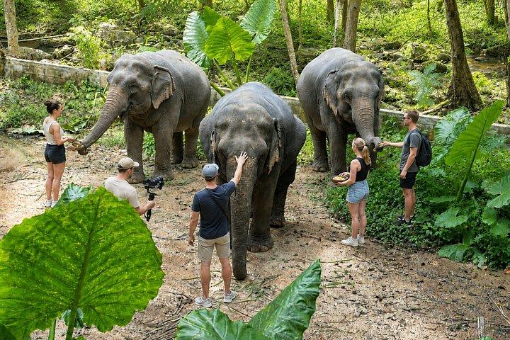 Koh Samui Sightseeingtour rond het eiland