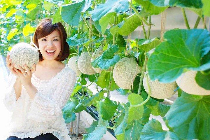 Mt. Fuji Fruit Picking and Scenic Train Adventure
