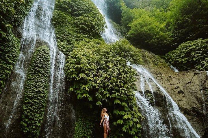 Cascate nascoste di Bali (privato e all-inclusive)