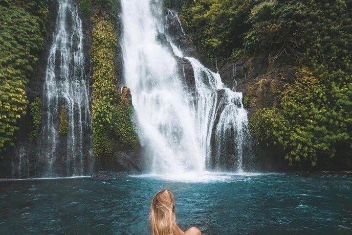 Cascate nascoste di Bali (privato e all-inclusive)