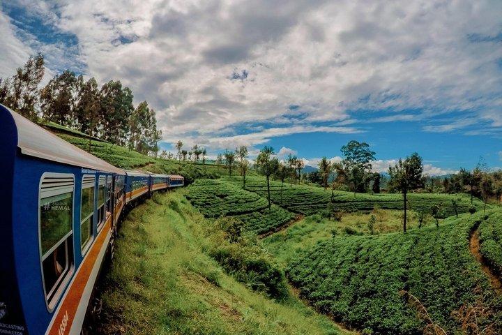 スリランカ8日間プライベートツアーカスタマイズ可能な旅程