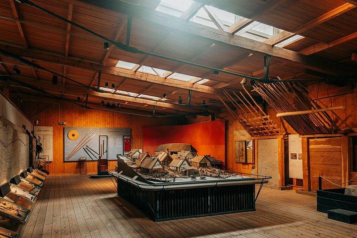 ビルカバイキングシティ＆博物館を体験-ストックホルム発ボートツアー