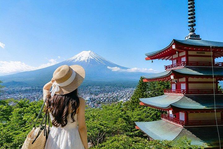Mt. Fuji Fruit Picking and Scenic Train Adventure