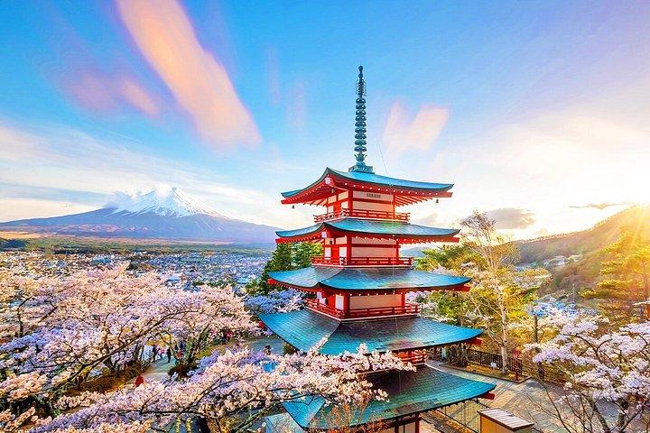 Mt. Fuji Fruit Picking and Scenic Train Adventure