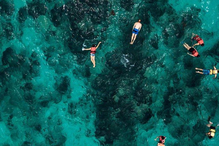 パルマ海洋保護区、崖の洞窟への訪問、シュノーケリング