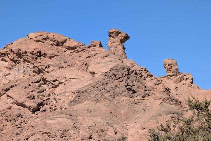 Moon Landscape and Welwitschia Guided Tour