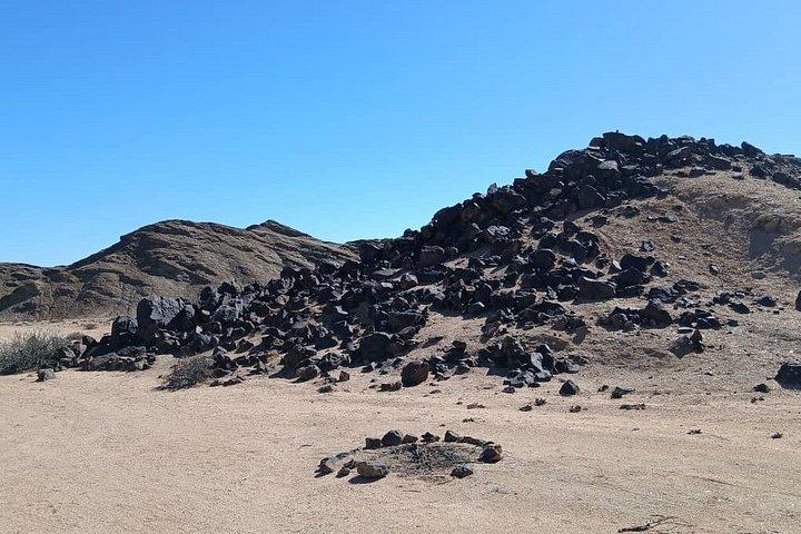 Moon Landscape and Welwitschia Guided Tour
