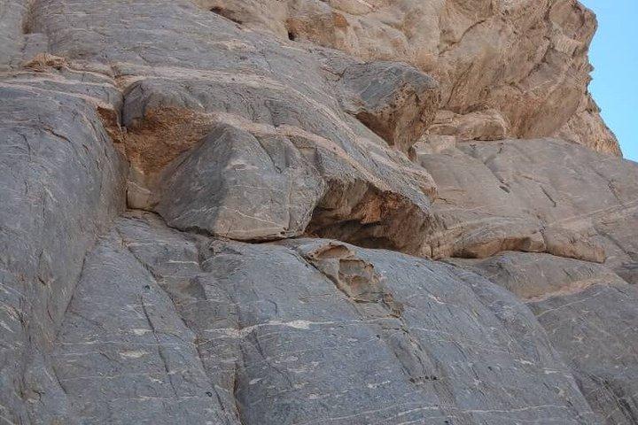 Moon Landscape and Welwitschia Guided Tour