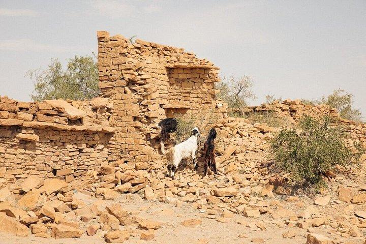 Nomadic Non-Touristic Overnight Tour & camel Safari
