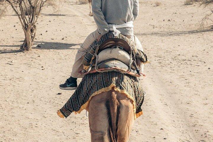Nomadic Non-Touristic Overnight Tour & camel Safari
