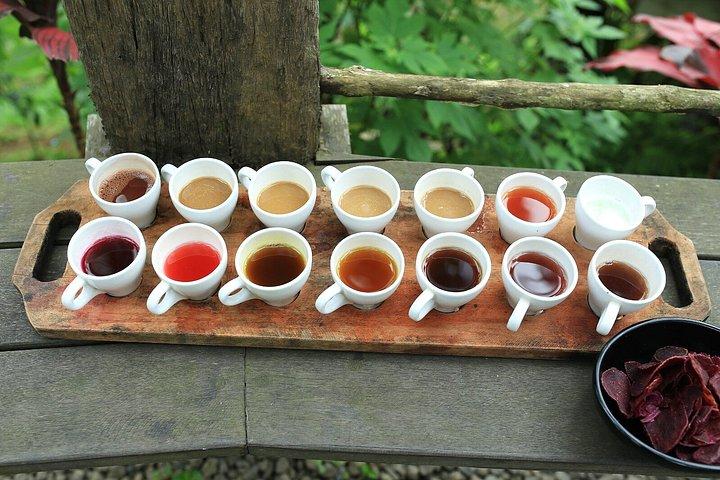 Bali Kulturtour mit traditionellen Tanztempeln und Kaffee