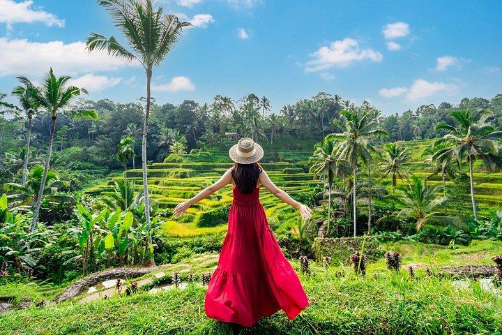 Tour culturale di Bali con templi di danza tradizionale e caffè