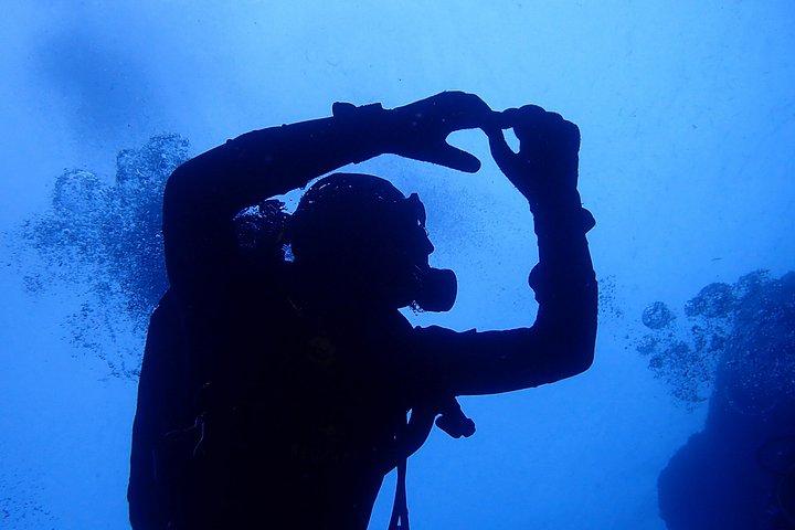 Buceo en la isla Terceira, Azores