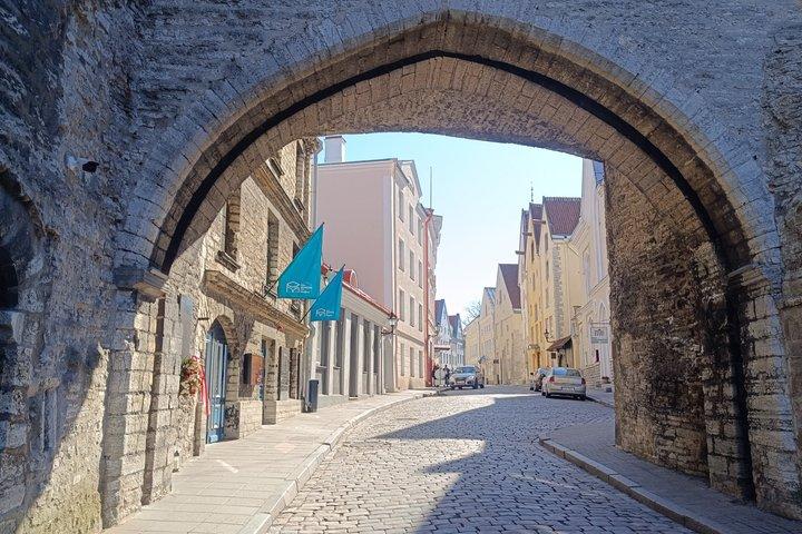 From Carnivals to Epidemics - daily life in medieval Tallinn