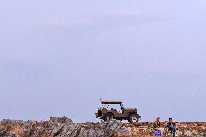 Udaipur: Privat Vintage Willys Jeep oplevelse