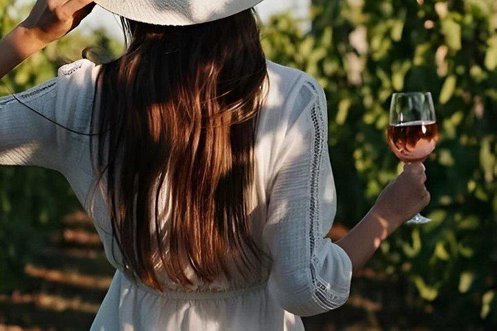 Winery and Wine Tasting Tour