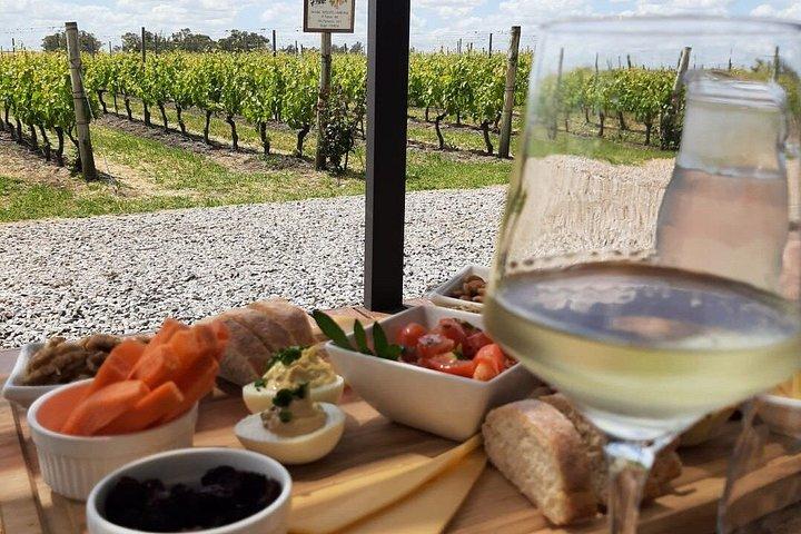 Winery and Wine Tasting Tour