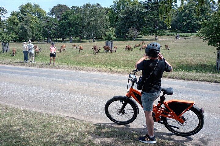 ロンドンEバイクツアーリッチモンドパーク鹿と隠れた宝石