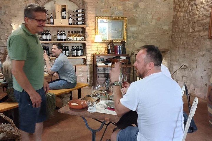 Vineyard Tour and Wine Tasting in Chianti Classico