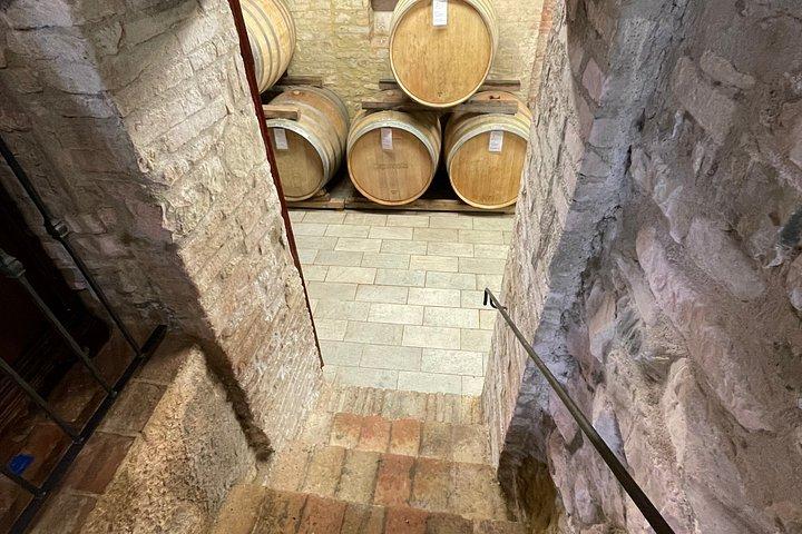 Vineyard Tour and Wine Tasting in Chianti Classico
