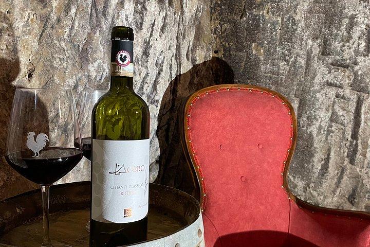 Vineyard Tour and Wine Tasting in Chianti Classico