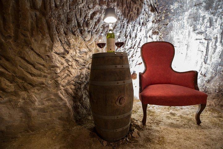 Vineyard Tour and Wine Tasting in Chianti Classico