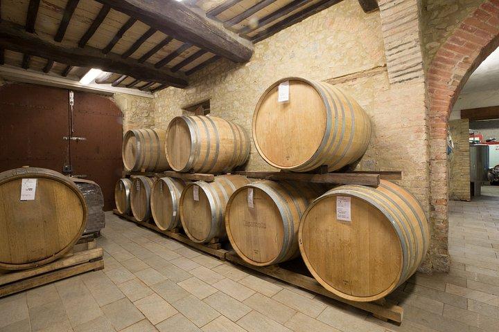 Vineyard Tour and Wine Tasting in Chianti Classico