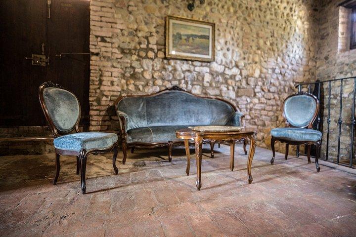 Vineyard Tour and Wine Tasting in Chianti Classico
