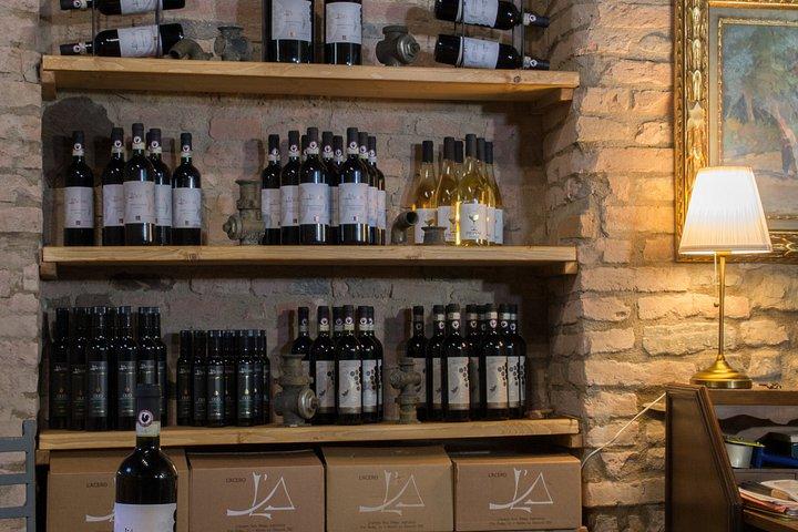 Vineyard Tour and Wine Tasting in Chianti Classico