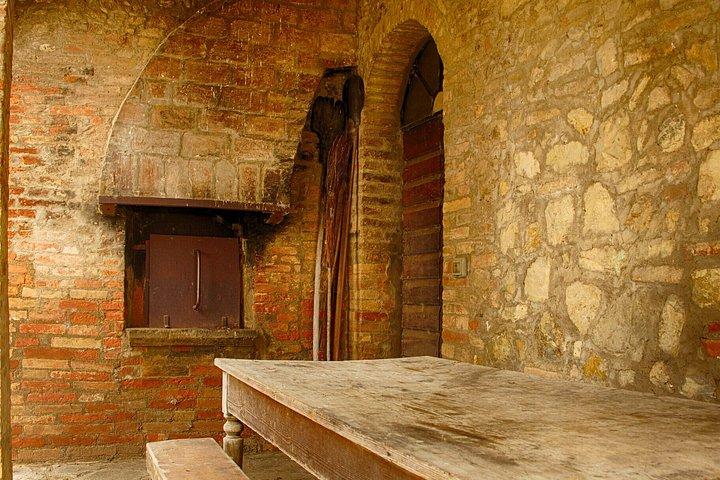 Vineyard Tour and Wine Tasting in Chianti Classico
