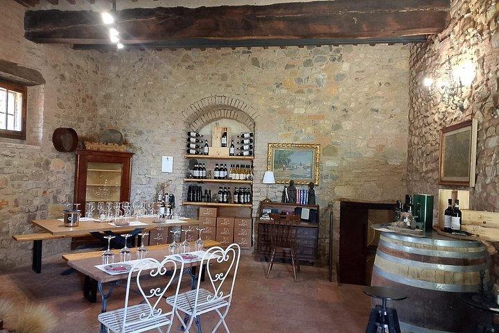 Vineyard Tour and Wine Tasting in Chianti Classico
