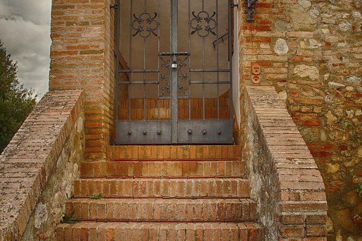 Vineyard Tour and Wine Tasting in Chianti Classico