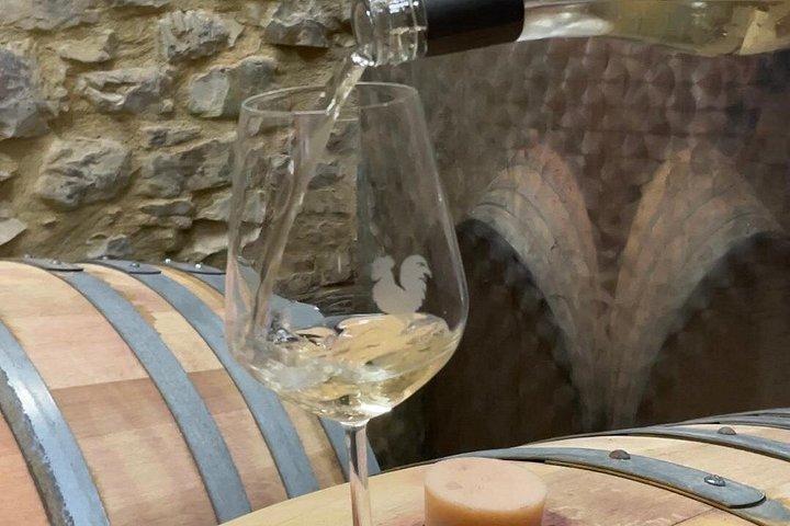 Vineyard Tour and Wine Tasting in Chianti Classico