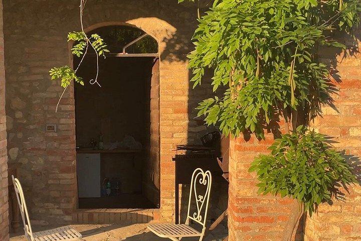 Vineyard Tour and Wine Tasting in Chianti Classico
