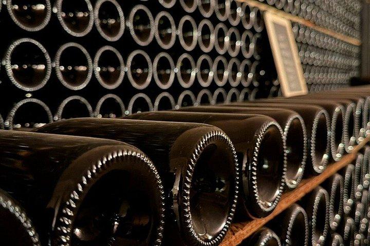 With Edo - Private Barolo Without the Crowds · From Turin