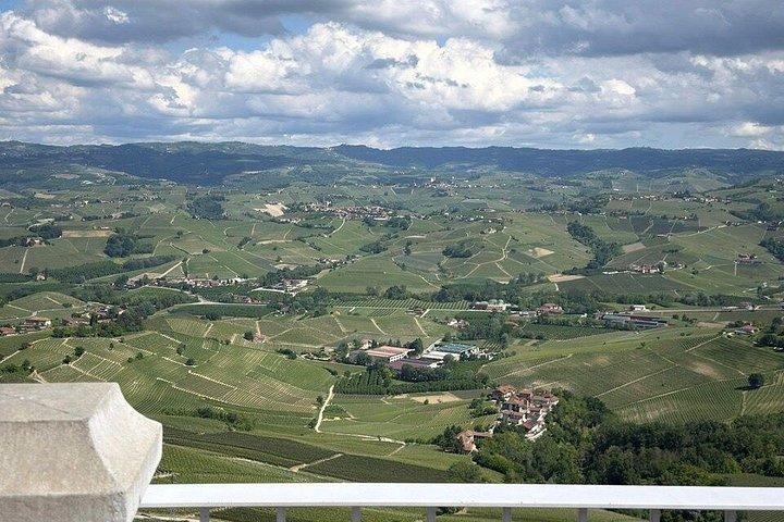 With Edo - Private Barolo Without the Crowds · From Turin
