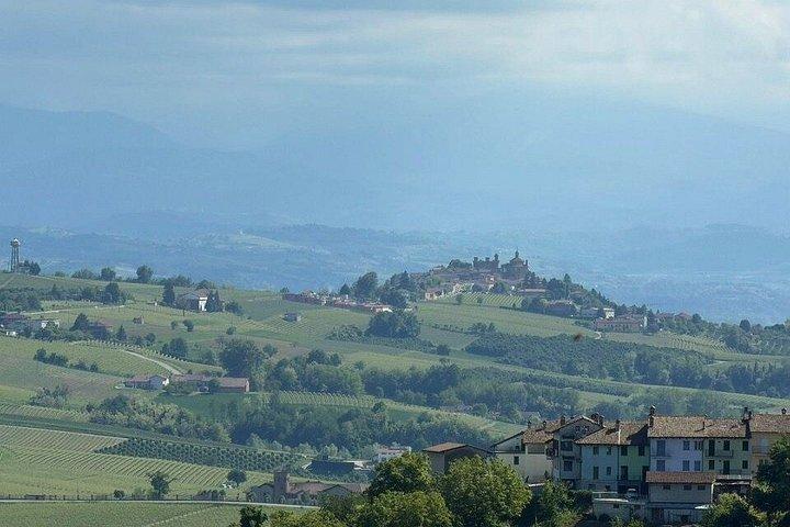 With Edo - Private Barolo Without the Crowds · From Turin