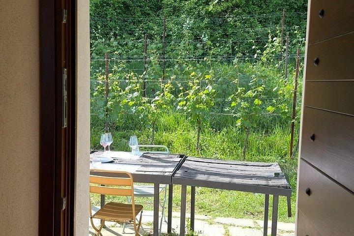 With Edo - Private Barolo Without the Crowds · From Turin