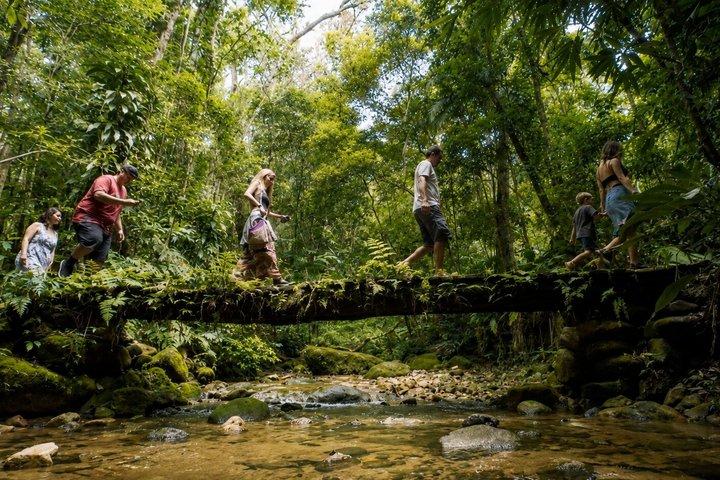 Río: Excursión de medio día en jeep por el Bosque de Tijuca