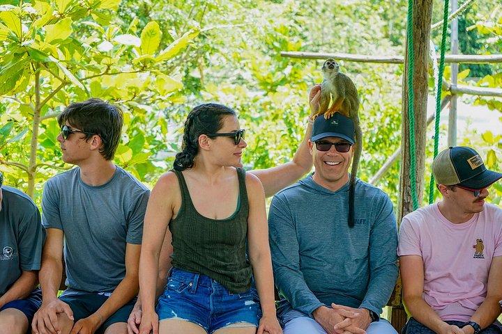 Horseback Riding & Monkeyland Combo Tour from Puerto Plata