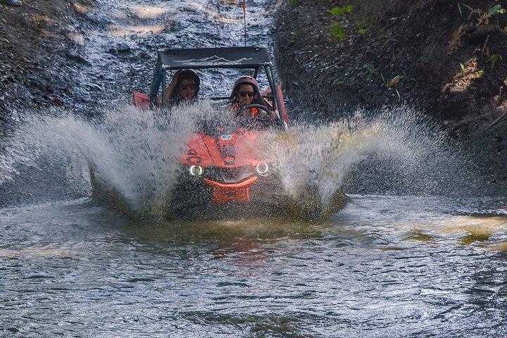 3x1: Monkey Land Waterfalls & Buggies In Puerto Plata